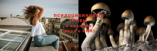 эйфоретик Алексеевка