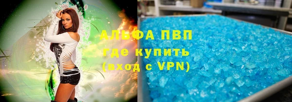 гидра Алексин