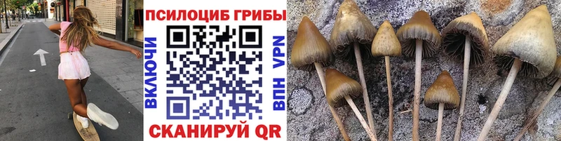 Галлюциногенные грибы мицелий  даркнет клад  Бердск 