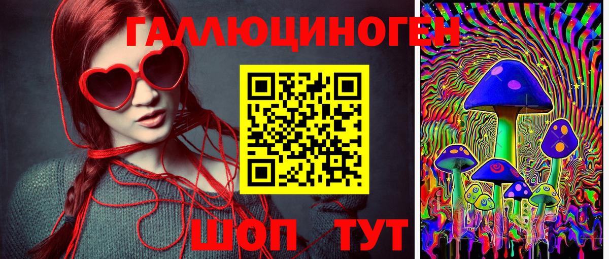 Галлюциногенные грибы Psilocybe  Вход с VPN  Бердск 