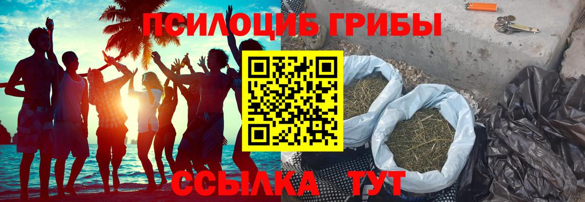 Псилоцибиновые грибы мицелий Бердск