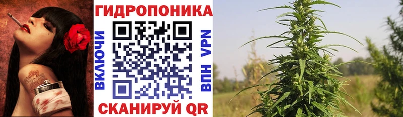 Шишки марихуана THC 21%  Бердск 